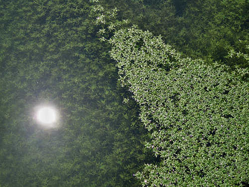 Treviso, Parco Naturale del Fiume Sile, alzaie del Sile