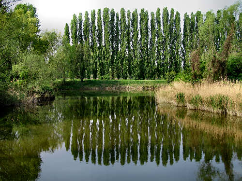 Treviso, Parco Naturale del Fiume Sile, alzaie del Sile