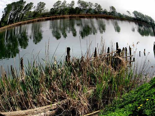 Treviso, Parco Naturale del Fiume Sile, alzaie del Sile