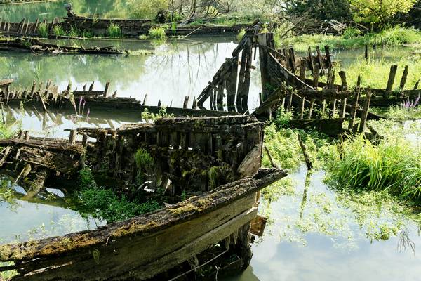 Alzaie del fiume Sile tra Treviso, Silea, Casier e Casale sul Sile