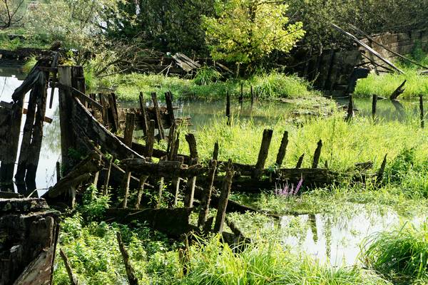 Alzaie del fiume Sile tra Treviso, Silea, Casier e Casale sul Sile