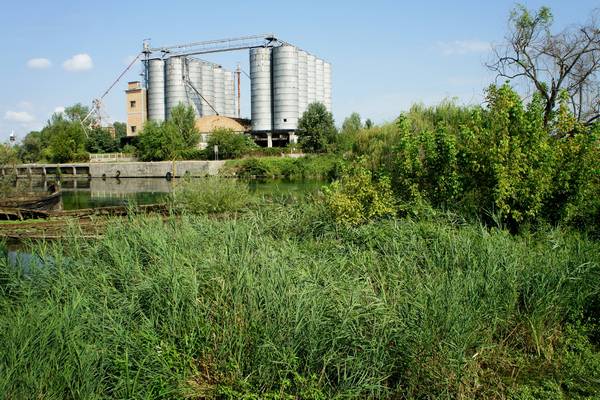 Alzaie del fiume Sile tra Treviso, Silea, Casier e Casale sul Sile