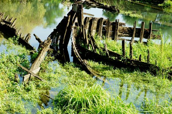 Alzaie del fiume Sile tra Treviso, Silea, Casier e Casale sul Sile