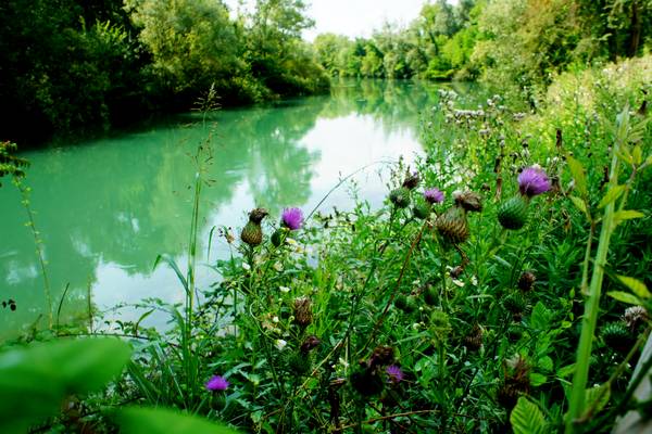 Alzaie del fiume Sile tra Treviso, Silea, Casier e Casale sul Sile