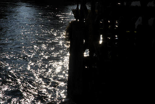 fotografie lungo il Sile