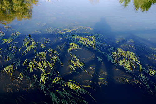 fotografie lungo il Sile