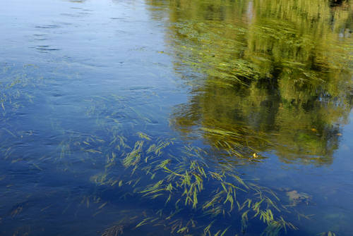fotografie lungo il Sile