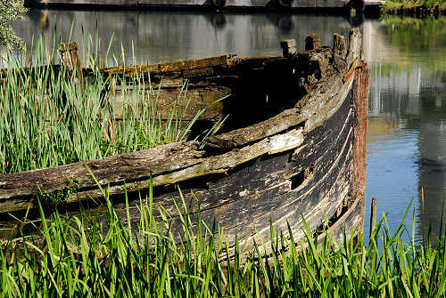 fotografie lungo il Sile