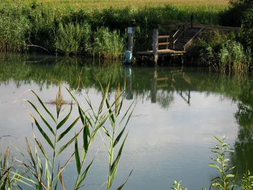 fotografie lungo il Sile