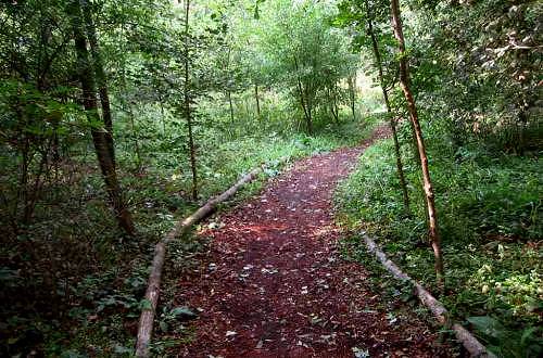 Sorgente fiume Sile al Fontanasso dea Coa Longa