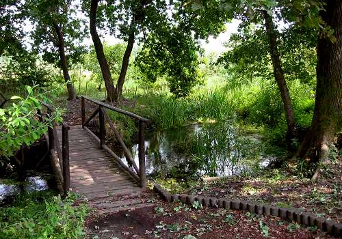 Sorgente fiume Sile al Fontanasso dea Coa Longa