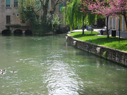 Treviso - fotografie