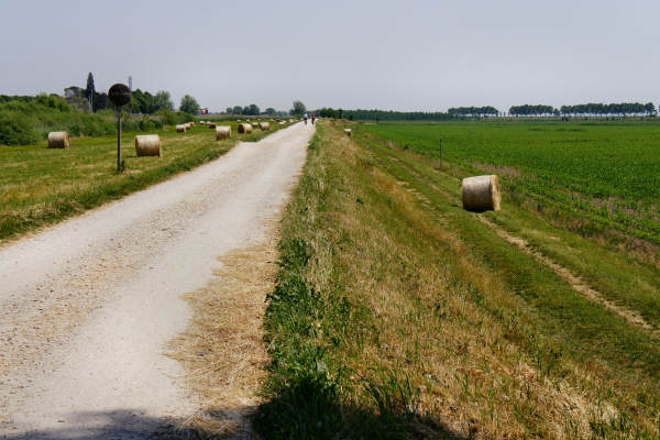 Quarto d'Altino, pista ciclabile fiume Zero, Altino, Trepalade, Sile