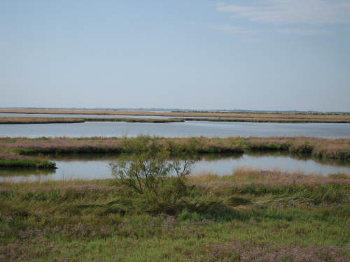 Portegrandi di Quarto d'Altino - taglio del Sile, laguna nord di Venezia