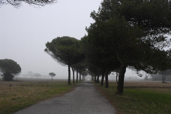 Bibione, area naturalistica foce del fiume Tagliamento