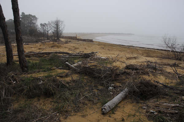 Bibione, area naturalistica foce del fiume Tagliamento