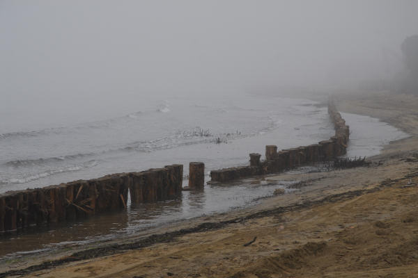 Bibione, area naturalistica foce del fiume Tagliamento