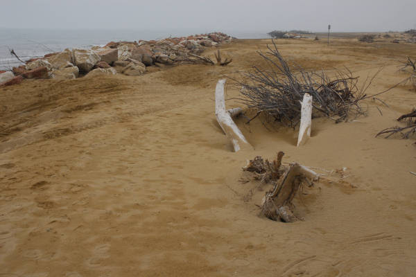Bibione, area naturalistica foce del fiume Tagliamento