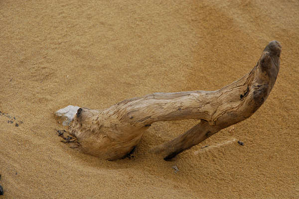 Bibione, area naturalistica foce del fiume Tagliamento