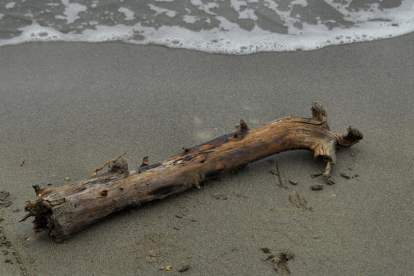 Bibione, area naturalistica foce del fiume Tagliamento