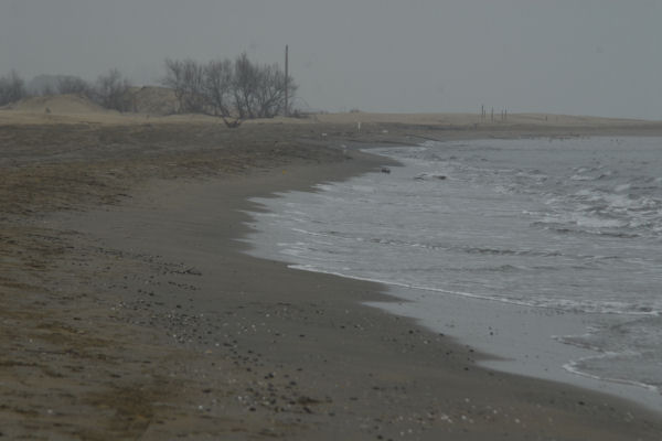Bibione, area naturalistica foce del fiume Tagliamento