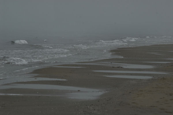 Bibione, area naturalistica foce del fiume Tagliamento