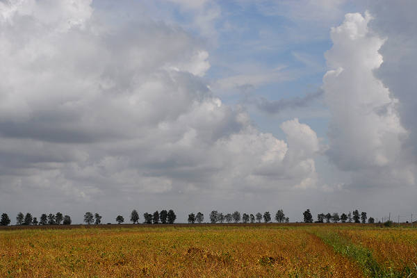 bonifiche del Livenza