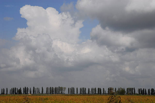 bonifiche del Livenza