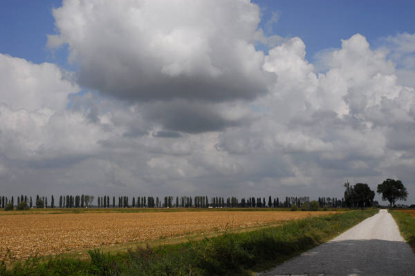 bonifiche del Livenza