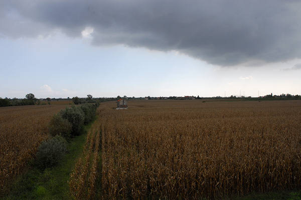 bonifiche del Livenza