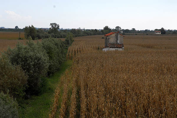 bonifiche del Livenza