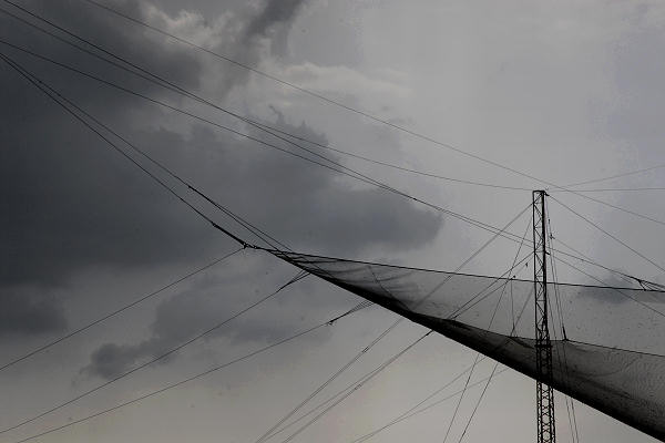 bonifiche del Livenza