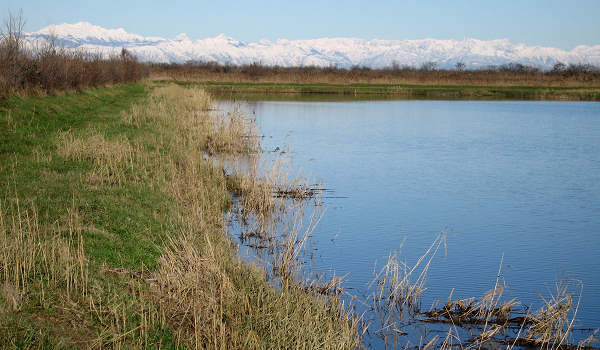 oasi naturalistica Valle Vecchia di VenetoAgricoltura a Caorle