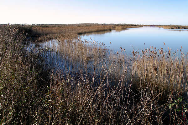 oasi naturalistica Valle Vecchia di VenetoAgricoltura a Caorle