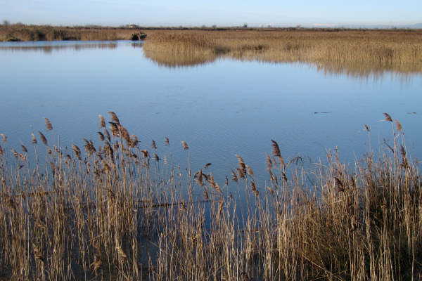 oasi naturalistica Valle Vecchia di VenetoAgricoltura a Caorle