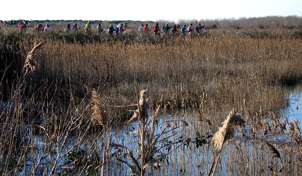 oasi naturalistica Valle Vecchia di VenetoAgricoltura a Caorle