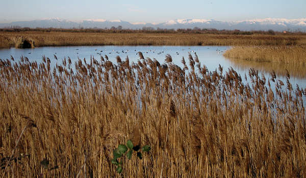 oasi naturalistica Valle Vecchia di VenetoAgricoltura a Caorle