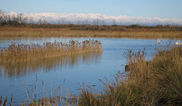 oasi naturalistica Valle Vecchia di VenetoAgricoltura a Caorle