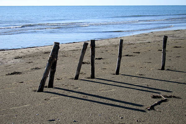 oasi naturalistica Valle Vecchia di VenetoAgricoltura a Caorle