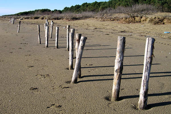 oasi naturalistica Valle Vecchia di VenetoAgricoltura a Caorle