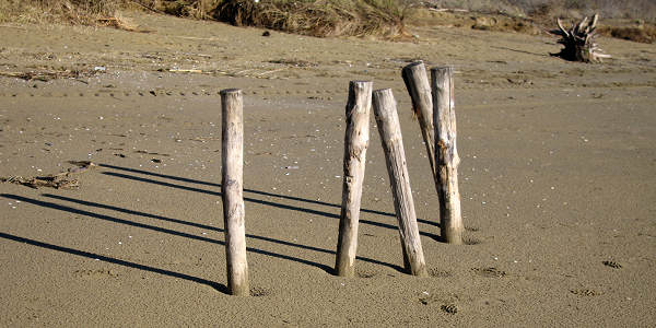 oasi naturalistica Valle Vecchia di VenetoAgricoltura a Caorle