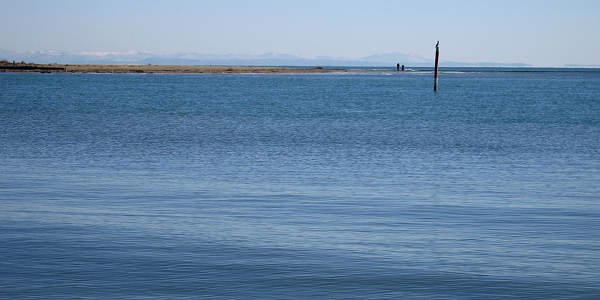 oasi naturalistica Valle Vecchia di VenetoAgricoltura a Caorle