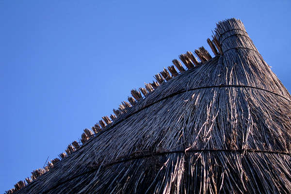 oasi naturalistica Valle Vecchia di VenetoAgricoltura a Caorle