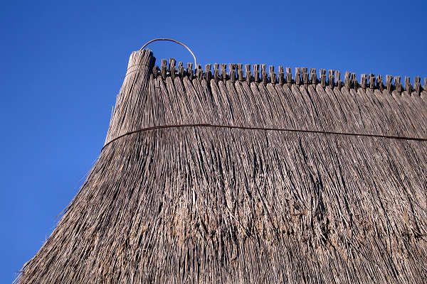 oasi naturalistica Valle Vecchia di VenetoAgricoltura a Caorle