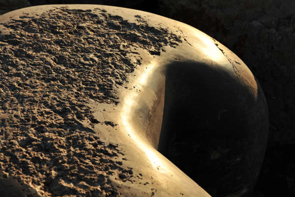 Scogliera Viva, sculture nella massicciata lungomare di Caorle