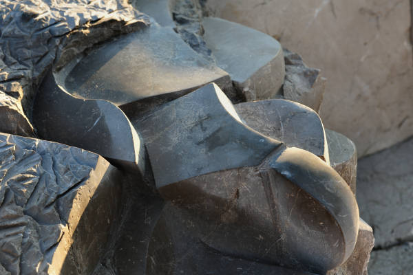 Scogliera Viva, sculture nella massicciata lungomare di Caorle