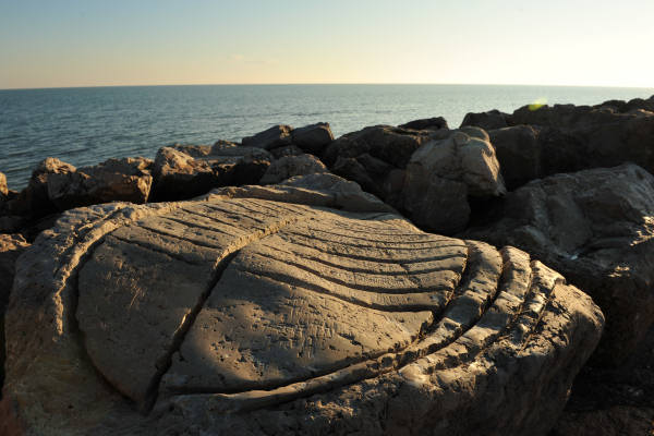 Scogliera Viva, sculture nella massicciata lungomare di Caorle