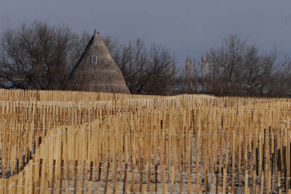 oasi naturalistica Valle Vecchia di VenetoAgricoltura a Caorle