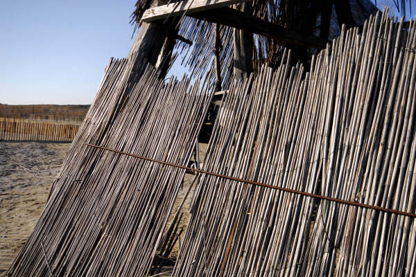 oasi naturalistica Valle Vecchia di VenetoAgricoltura a Caorle