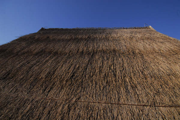 oasi naturalistica Valle Vecchia di VenetoAgricoltura a Caorle